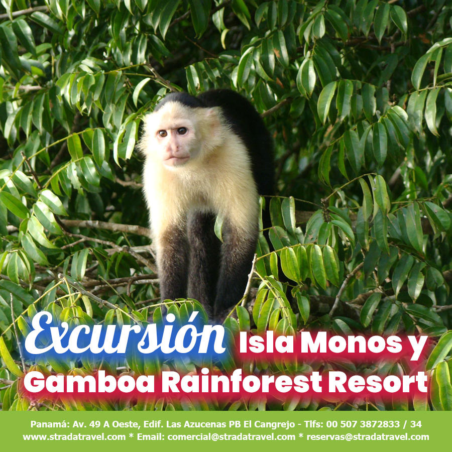 Excursión a Isla Monos y Gamboa Rainforest Resort